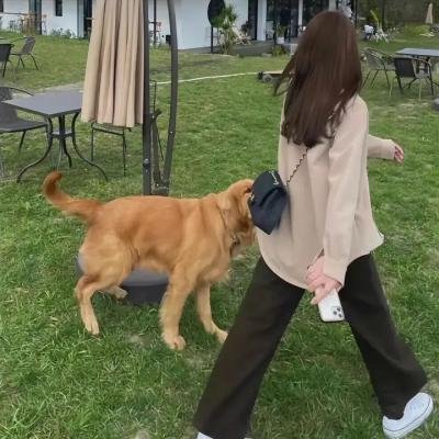 死无罪证 海报