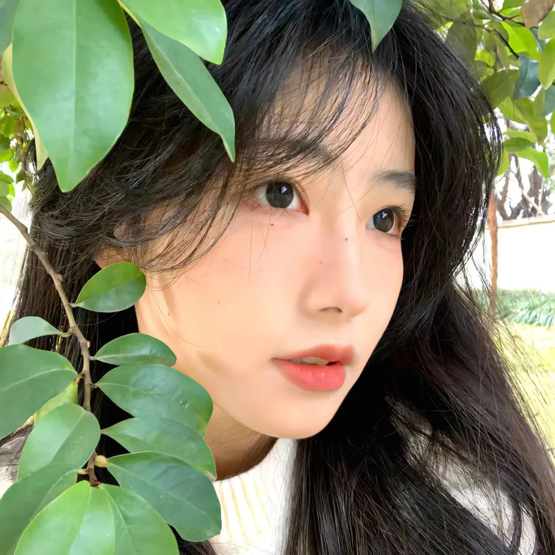 火之谜 海报